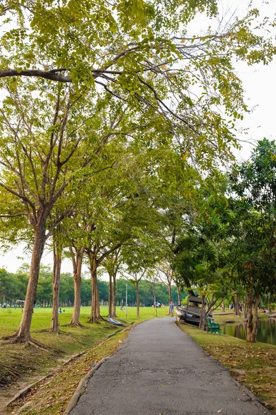 Park Väg Med Träd Och Äng Stadsparken — Stockfoto