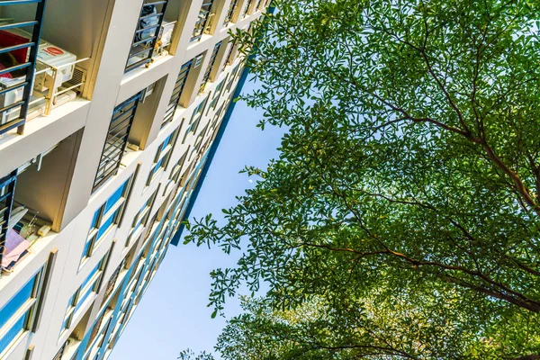 Edificio Condominio Con Hojas Árbol Verde Concepto Bienes Raíces — Foto de Stock