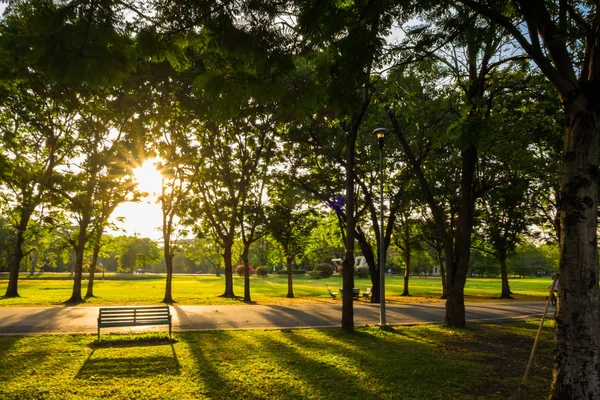Park bench slunce žlutý světelný paprsek — Stock fotografie