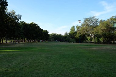 Ağaç Parkı yeşil çayır ile