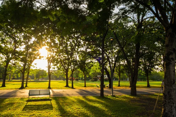 Park bänk sunset gul ljusstråle — Stockfoto