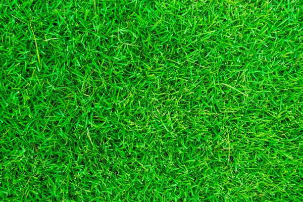 Görünümünün üzerinde yeşil çim doku doğa — Stok fotoğraf