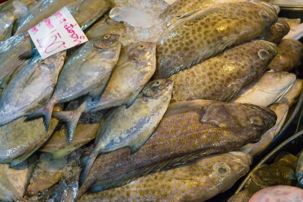 Grupo de peixe fresco para venda no mercado dos pescadores — Fotografia de Stock