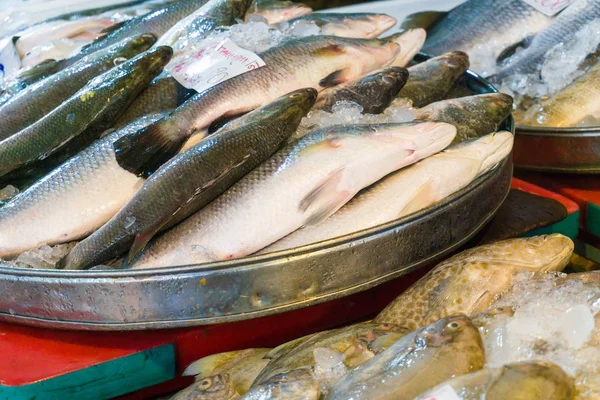 Група свіжих риб для продажу на рибальському ринку — стокове фото