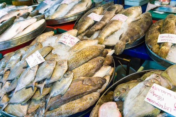 Grupo de peixe fresco para venda no mercado dos pescadores — Fotografia de Stock