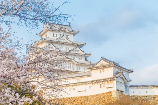 Sakura cherrry çiçekleri sezon Himeji Kalesi