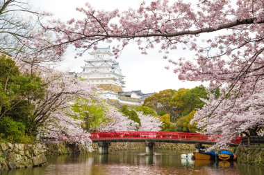 Himeji Kalesi Fes ile ilgilenen Cherrry çiçekleri ise kırmızı köprü ile