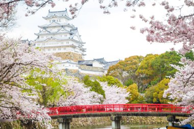 Himeji Kalesi Fes ile ilgilenen Cherrry çiçekleri ise kırmızı köprü ile