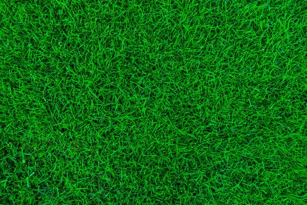 Natureza grama verde fundo — Fotografia de Stock