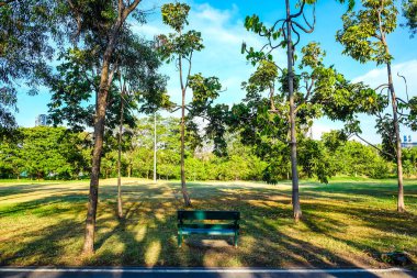 Güneş ışığı yeşil Parkı ve çayır