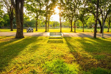 Park tezgah günbatımı sarı ışık demeti