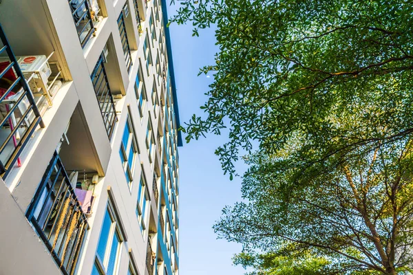 Edificio de condominios con hojas de árbol verde — Foto de Stock