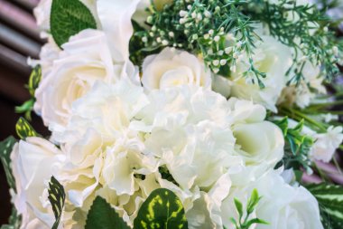 Bloom beyaz gül yakın çekim