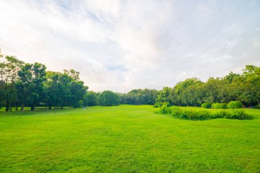 Park arka planda yeşil çayır çimen