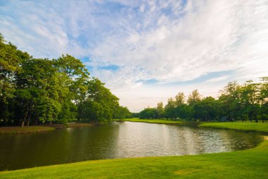 Merkez Parkı ağacında ile yeşil çayır