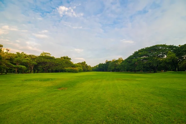 Зеленая луговая трава на фоне парка — стоковое фото