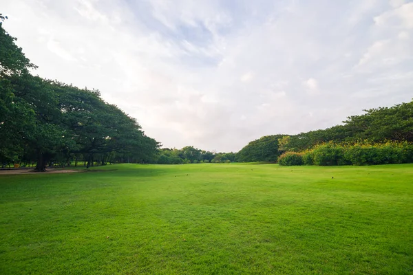 Pasto verde del prado en el fondo del parque — Foto de Stock