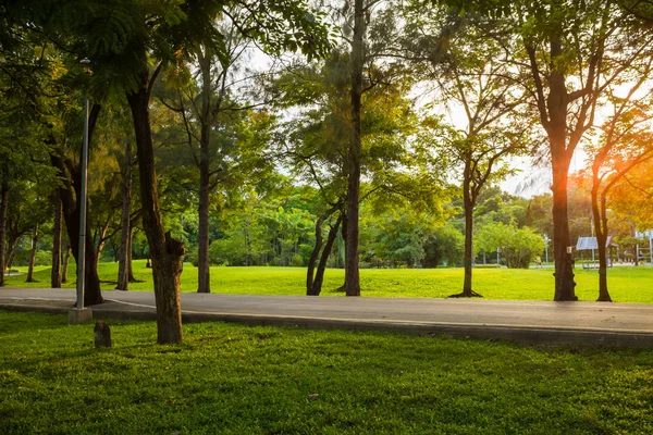 Sluneční světlo paprsku na park s strom zelené trávy — Stock fotografie