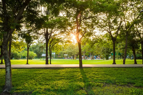 Sun light beam på park med träd grön gräs — Stockfoto