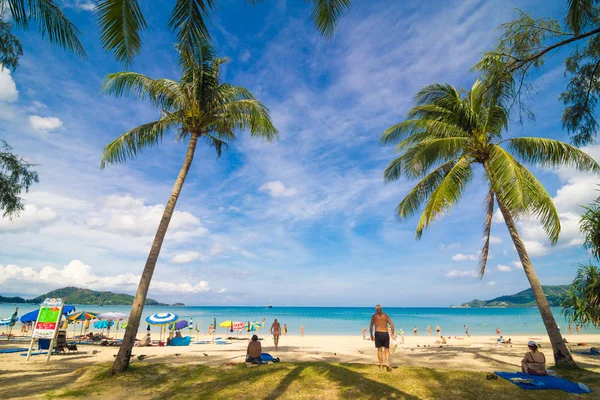 Palmera Coco Hoja Árbol Verde Cielo Azul Playa — Foto de Stock