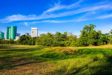 Şehir Parkı yeşil çim arka plan mavi gökyüzü altında