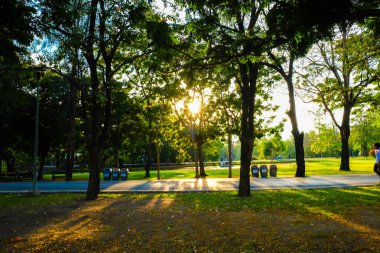 Süre günbatımı ışık yaz park peyzaj