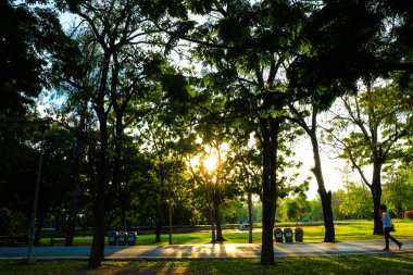 Süre günbatımı ışık yaz park peyzaj