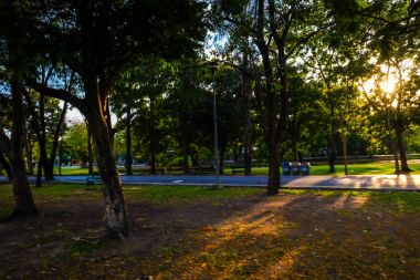 Süre günbatımı ışık yaz park peyzaj