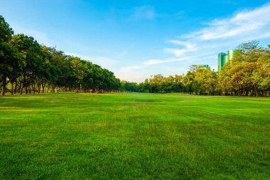 Şehir Parkı mavi gökyüzü alanında yeşil çayır