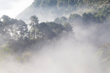 Dağ Manzaralı sis sisli gündoğumu sırasında sabah