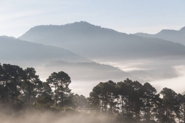 Dağ Manzaralı sis sisli gündoğumu sırasında sabah