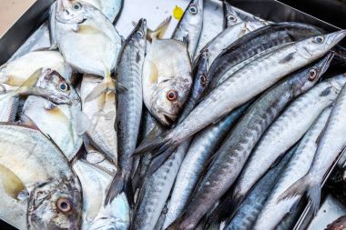 Yerel Pazar taze deniz balık