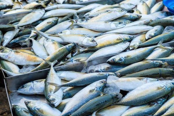 Fresh sea fish in local market — Stock Photo, Image