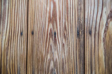 Çam ahşap doku doğa arka plan kapatın