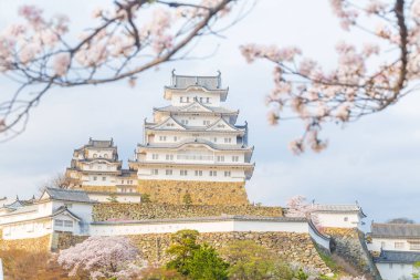 Himeji Kalesi ile seyahat, Hyogo Japonya Japonya'nın en iyi hedef birini sakura