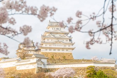 Himeji Kalesi ile seyahat, Hyogo Japonya Japonya'nın en iyi hedef birini sakura
