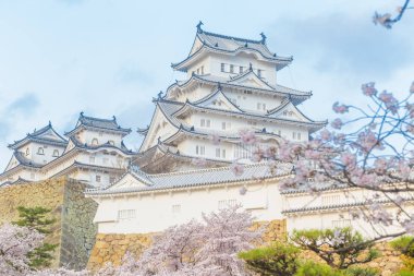 Himeji Kalesi ile seyahat, Hyogo Japonya Japonya'nın en iyi hedef birini sakura