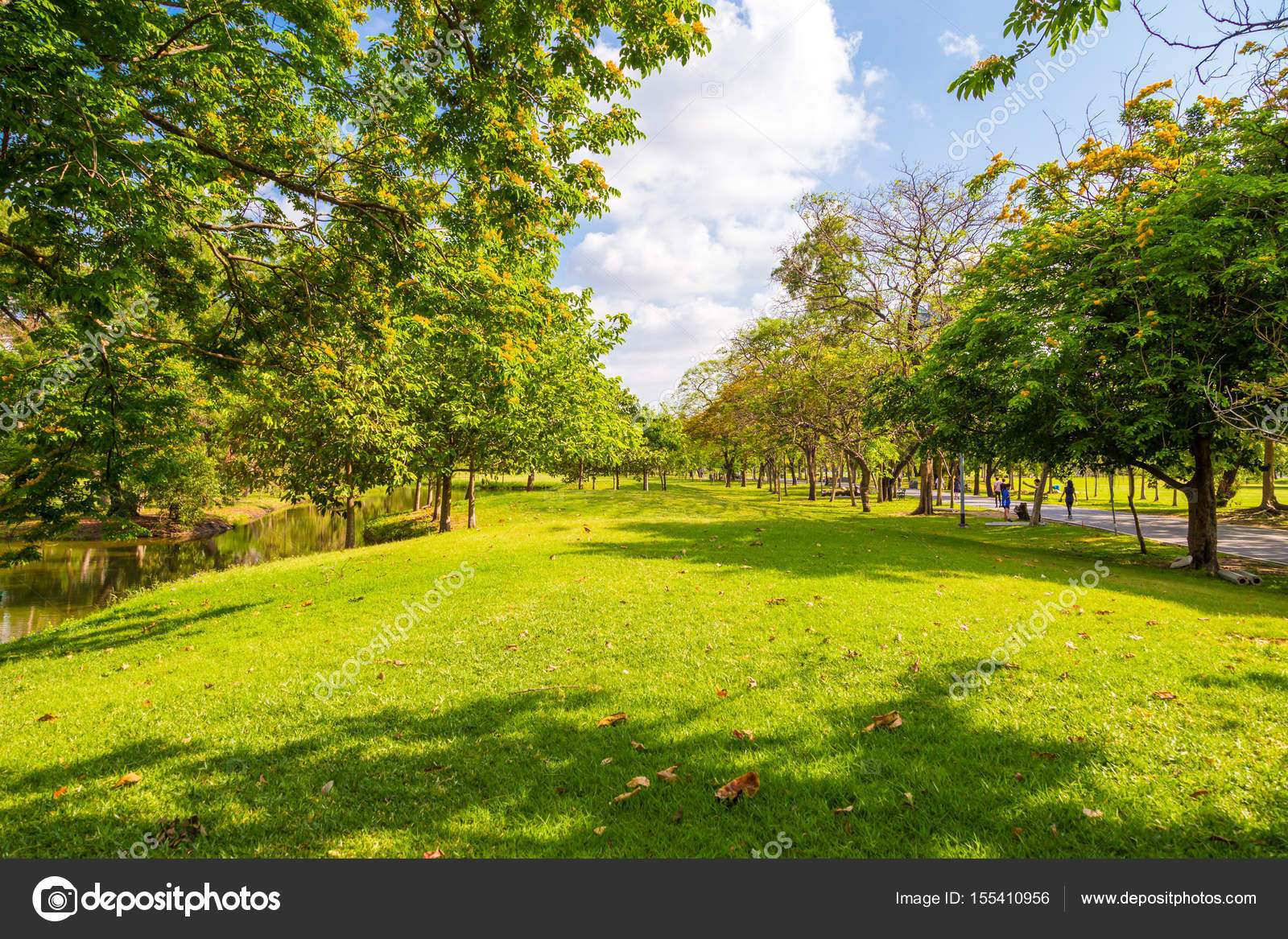 Paisaje verde de la ciudad Parque pasto con árboles — Foto de stock
