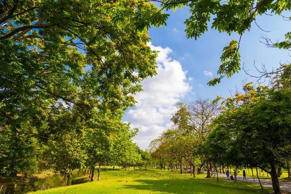 Paesaggio verde città parco erba con albero — Foto Stock