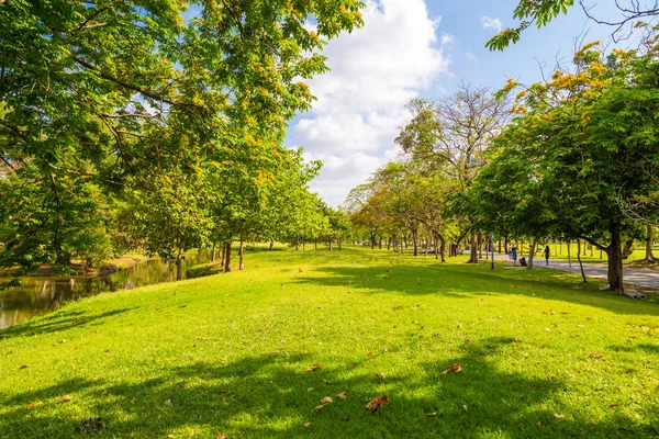 Paisagem verde cidade parque grama com árvore — Fotografia de Stock