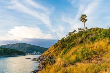 Sahil Andaman Denizi ile palmiye ağacı dağda, Phuket Tayland