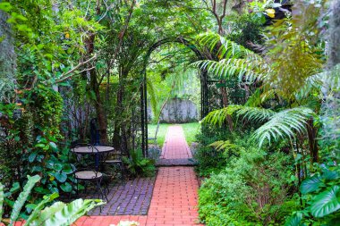 Park tezgah yeşil çim, doğa sahne kaldırım ile bahçe yolu