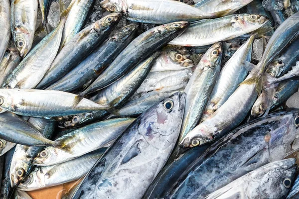 鲜鱼市场的新鲜鲭鱼 — 图库照片