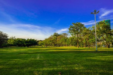Ağaç ve yeşil çim ile merkez Parkı
