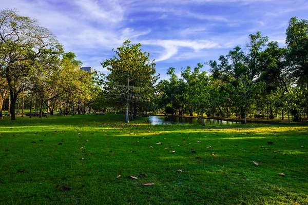 Zentraler öffentlicher Park mit Baum und grünem Gras — Stockfoto