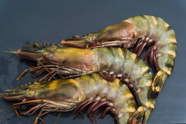 生鲜巨虎海虾黑色花岗岩 欧米茄海鲜 — 图库照片