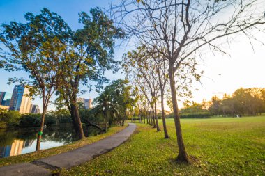 Güzel yaz manzara günbatımı çayır ve Şehir Parkı ağaca