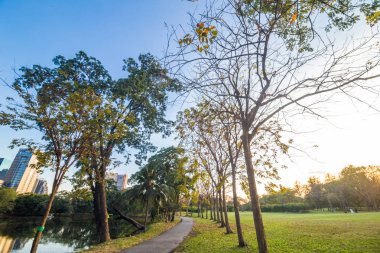 Şehir Parkı günbatımı mavi gökyüzü ile sarı ışık ve su birikintisi