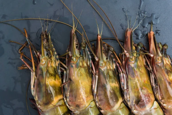 Udang Laut Segar Jumbo Harimau Mentah Pada Granit Hitam Makanan — Stok Foto