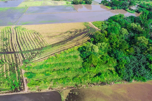 Üstten Görünüm Hazırlamak Arazi Pirinç Ekimi Fotoğraf Için Dron Tarafından — Stok fotoğraf